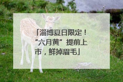 淄博夏日限定！“六月黄”提前上市，鲜掉眉毛